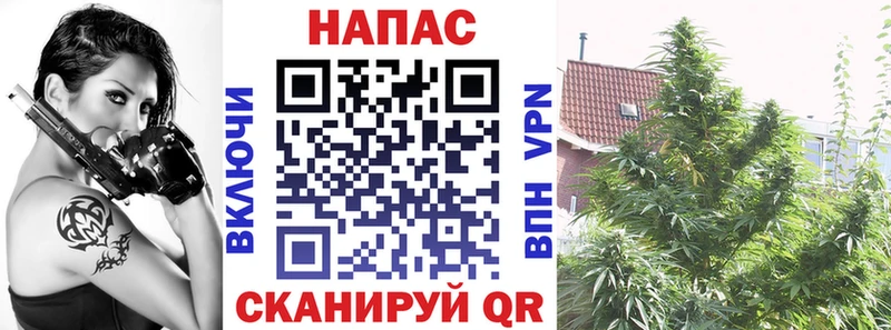 Купить закладку Кедровый COCAIN  APVP  Канабис  NBOMe  ГАШИШ 