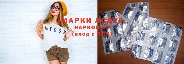 ПСИЛОЦИБИНОВЫЕ ГРИБЫ Алексеевка