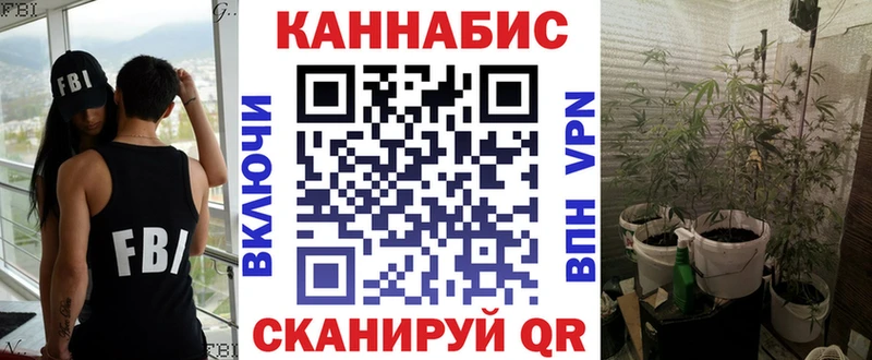 Шишки марихуана план  Кедровый 